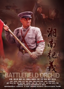 大蕉伊人