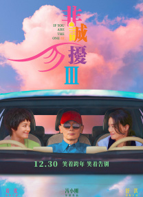 91精品成人免费国产