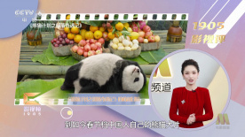 俄罗斯性生交免费看